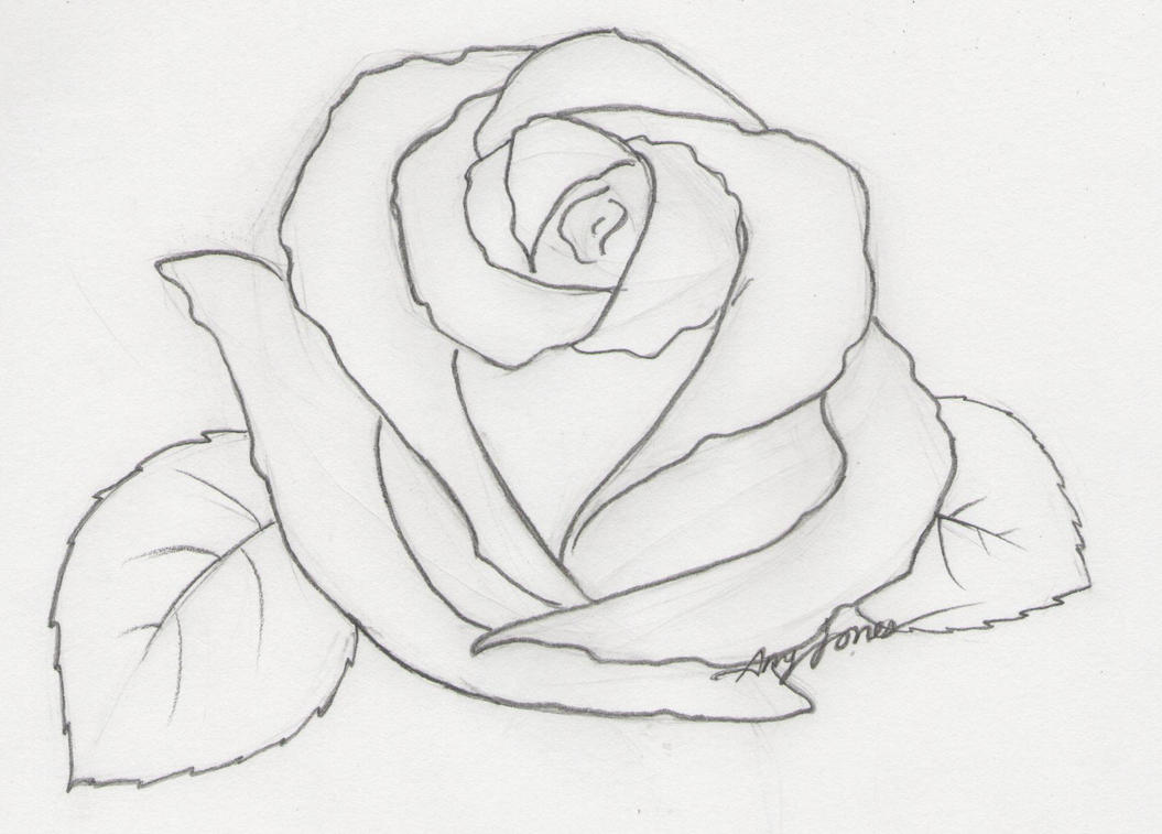 Rose Drawings In Pencil