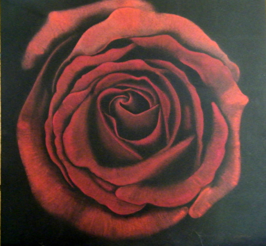 Black And Red Rose Drawing