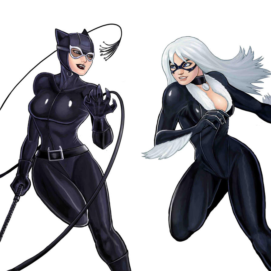 Znalezione obrazy dla zapytania catwoman vs black cat