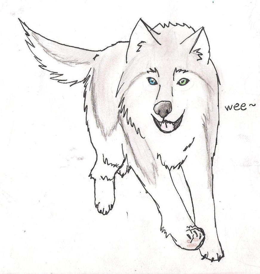 Download Husky Face Coloring Pages